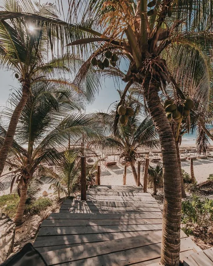 Papaya Playa Project, Tulum, A Member Of Design Hotels Tulum